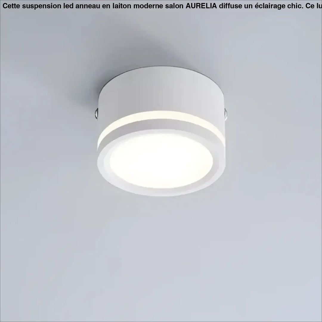 Plafonnier luminaire rond au style minimaliste noir ou blanc