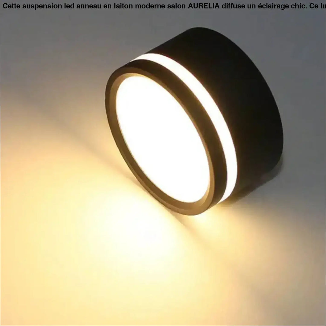 Plafonnier luminaire rond au style minimaliste noir ou blanc