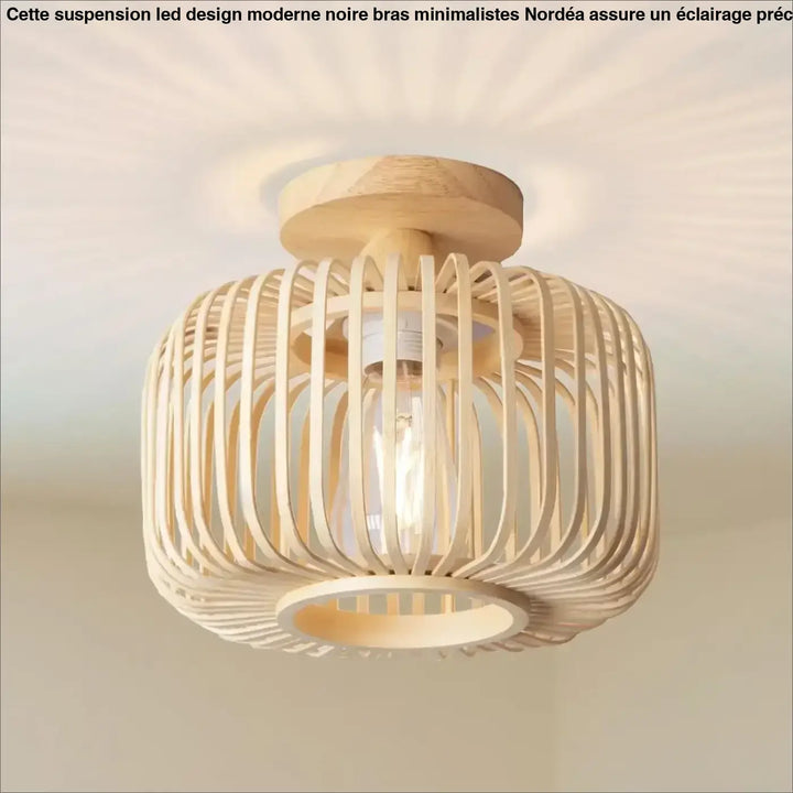 Plafonnier En Bambou Tressé Luminaire Naturel Moderne

