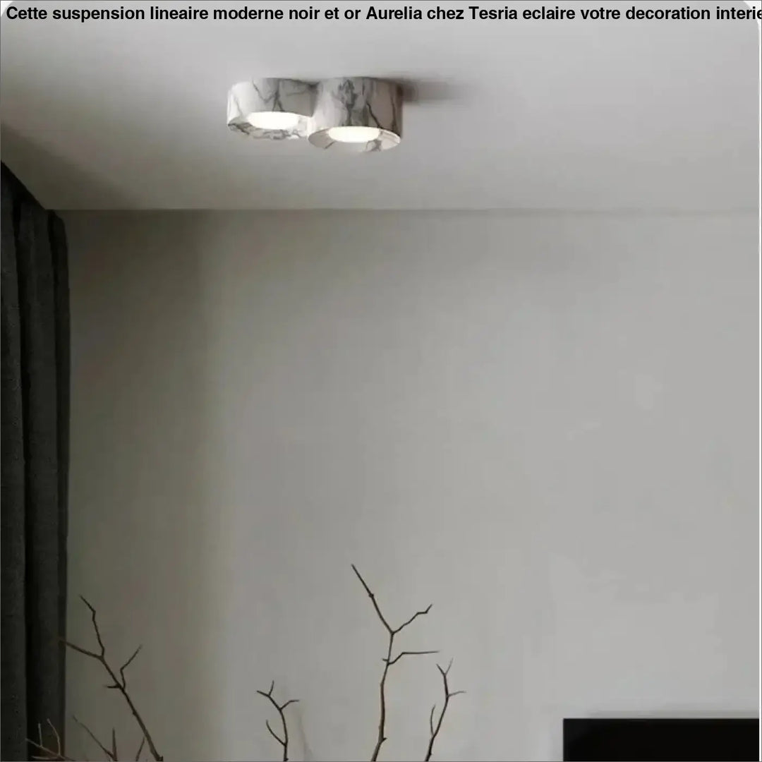 Plafonnier design led compact couleurs marron gris