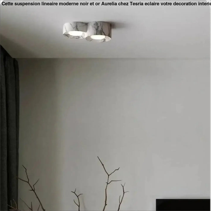 Plafonnier design led compact couleurs marron gris