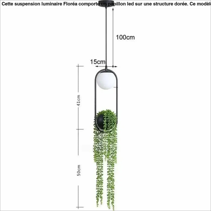 Suspension Moderne Anneau Noir avec Plante Artificielle et Globe LED