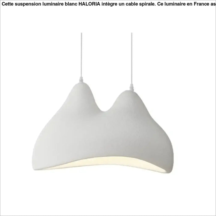 Suspension artistique blanche forme organique moderne design