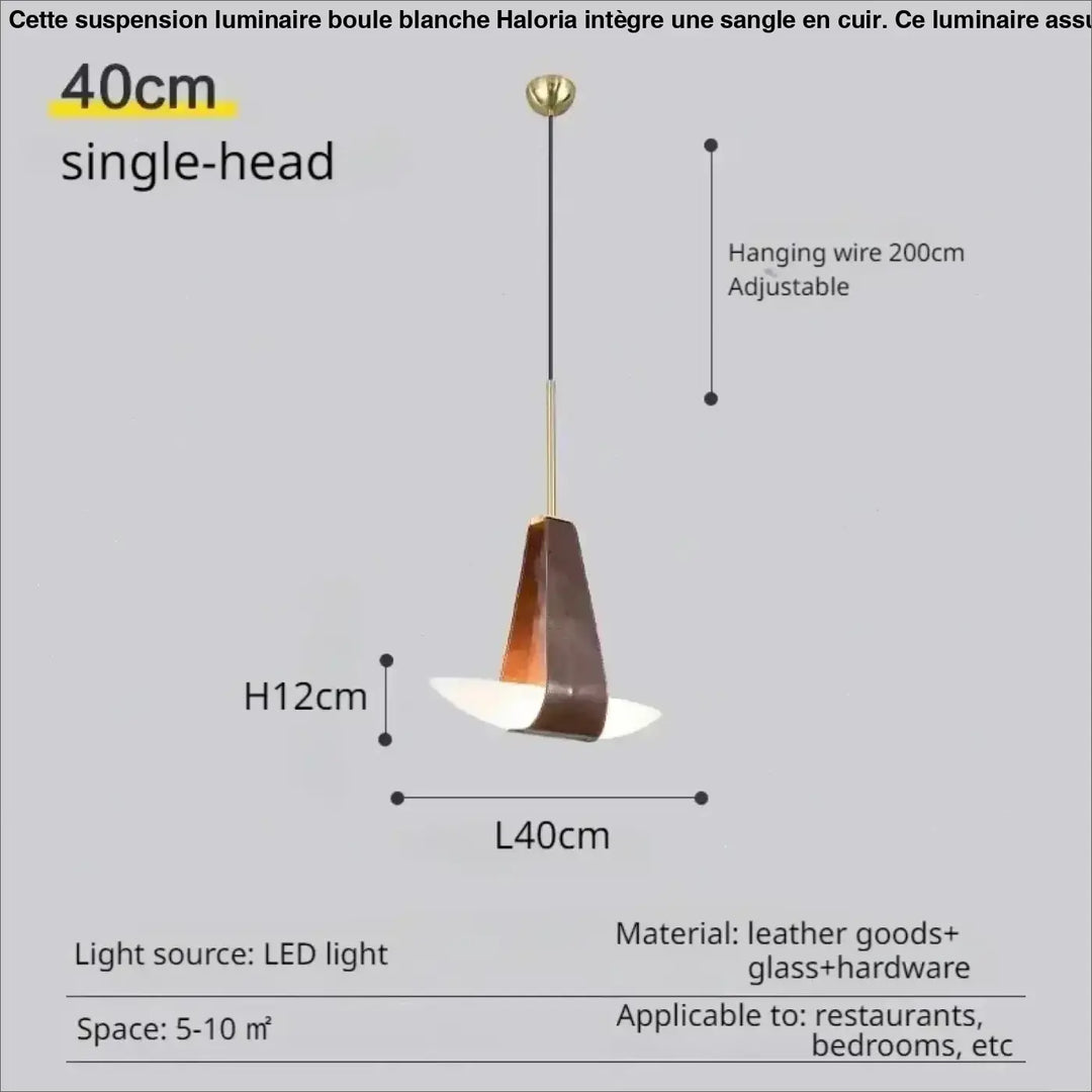 Suspension minimaliste cuir et verre led intérieur chic