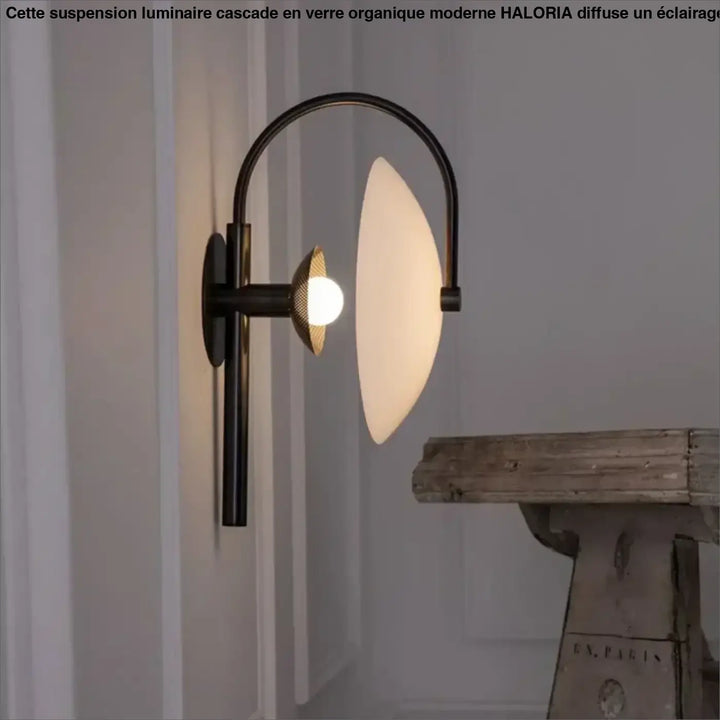 Applique murale en métal noir et diffuseur blanc moderne