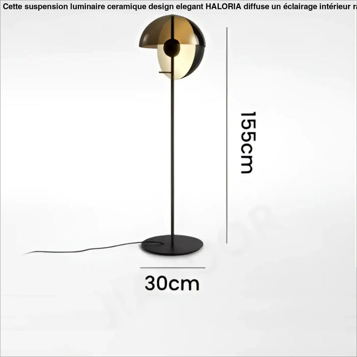 Lampadaire minimaliste noir avec abat jour en verre fumé led
