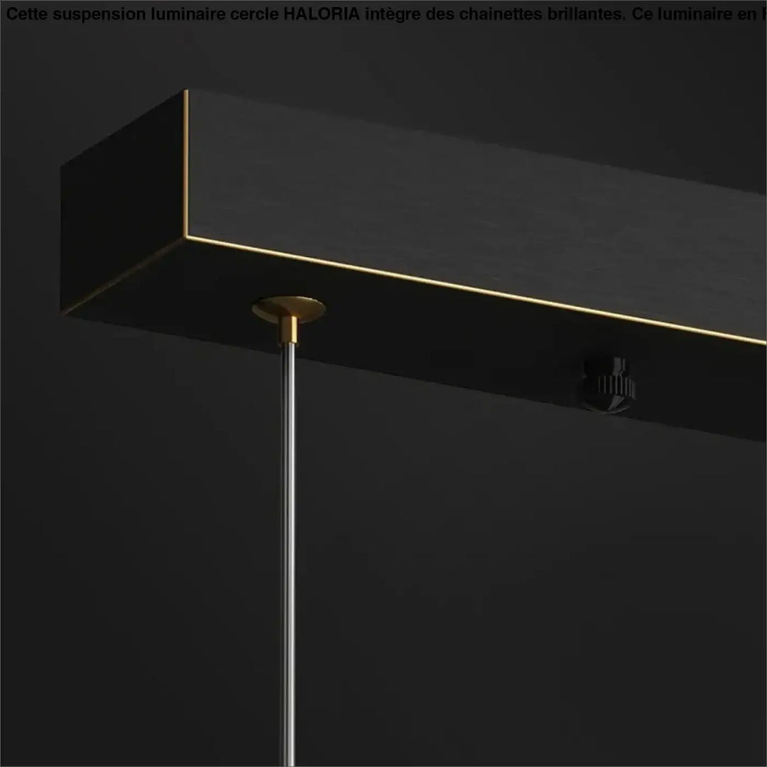 Suspension luminaire linéaire en verre moderne noir élégant