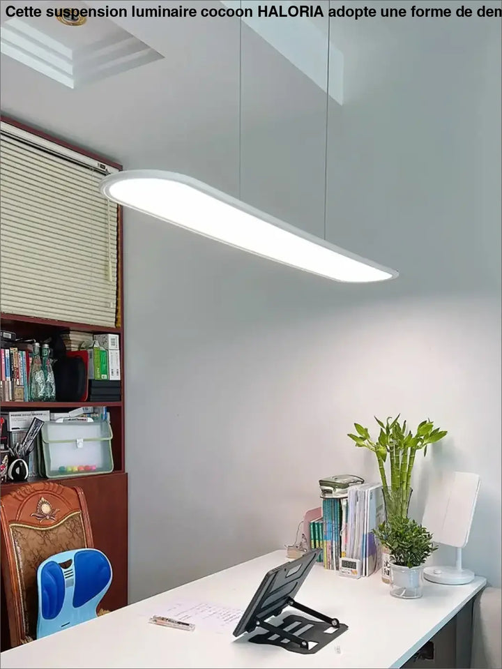 Suspension Ovale Minimaliste À LED Pour Intérieur Moderne Épuré

