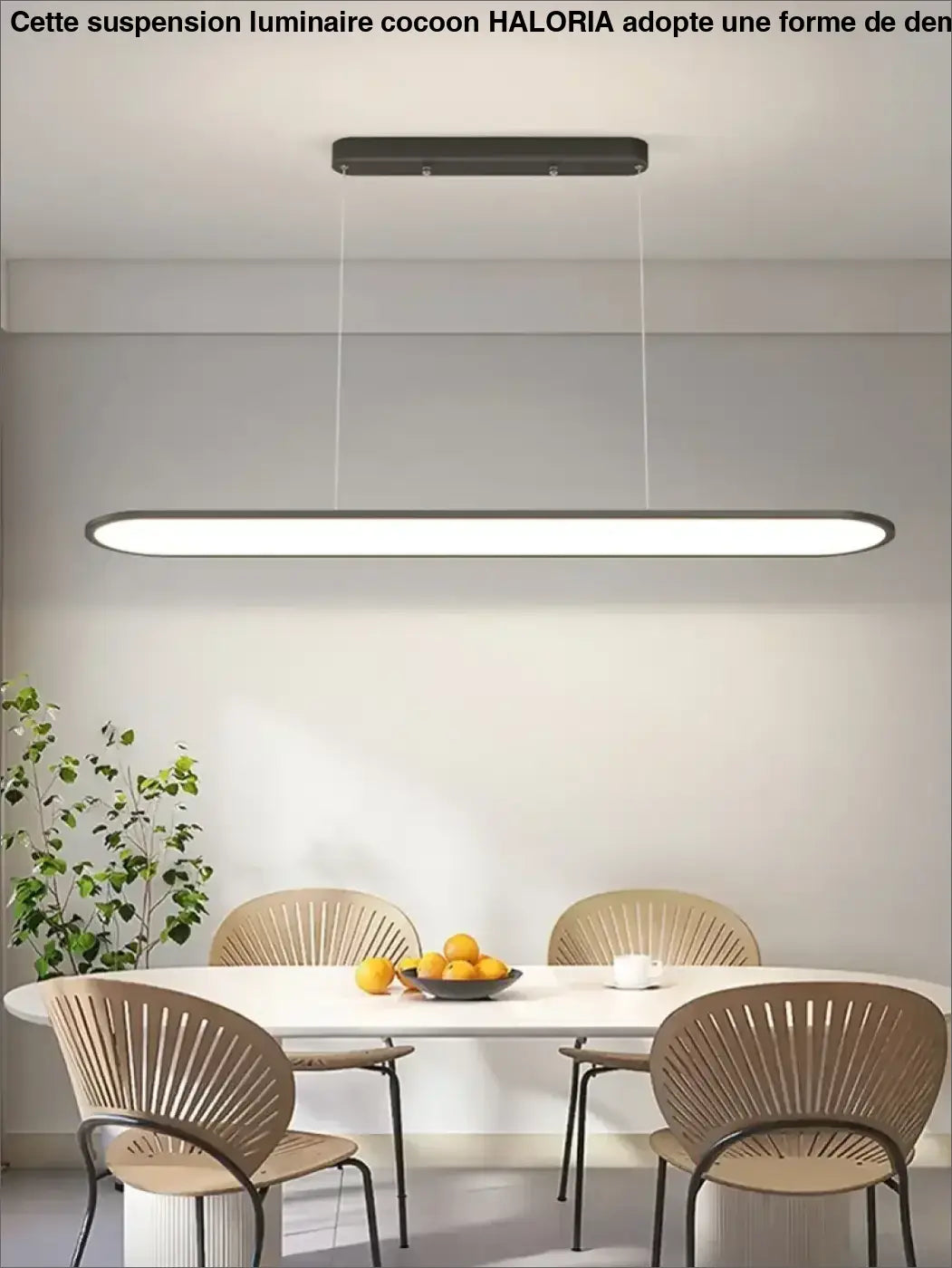Suspension Ovale Minimaliste À LED Pour Intérieur Moderne Épuré

