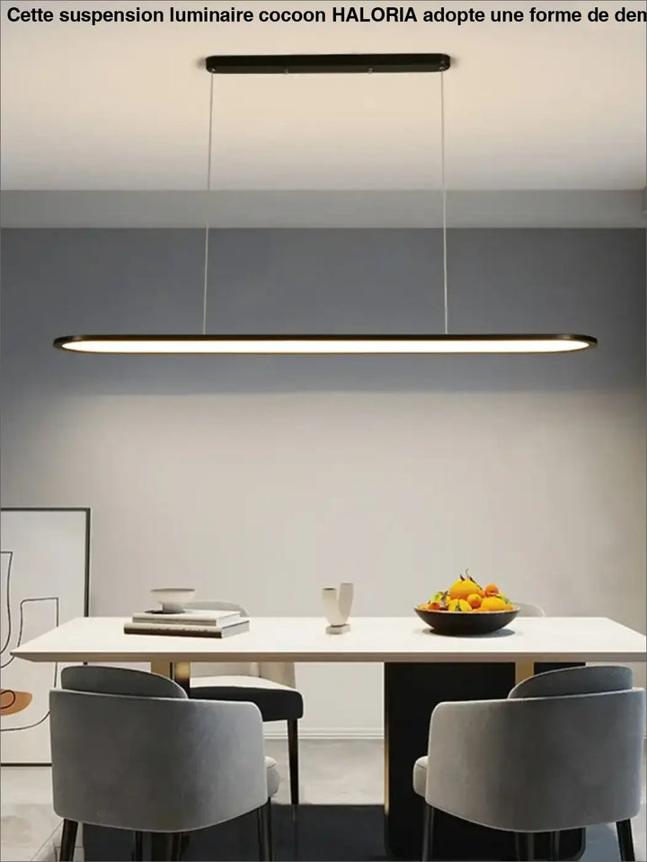 Suspension Ovale Minimaliste À LED Pour Intérieur Moderne Épuré

