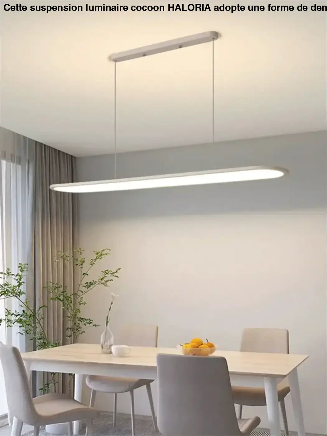 Suspension Ovale Minimaliste À LED Pour Intérieur Moderne Épuré

