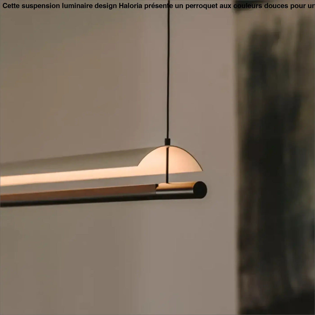 Suspension luminaire minimaliste avec diffuseur translucide incurvé et cadre en métal noir mat pour salle à manger