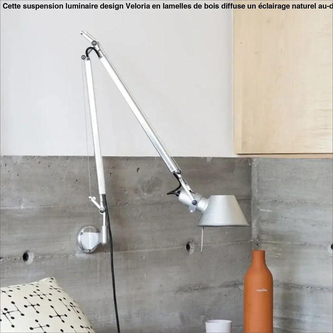 Liseuse murale articulée argent avec bras ajustable et abat-jour conique dans luminaire design suspension veloria