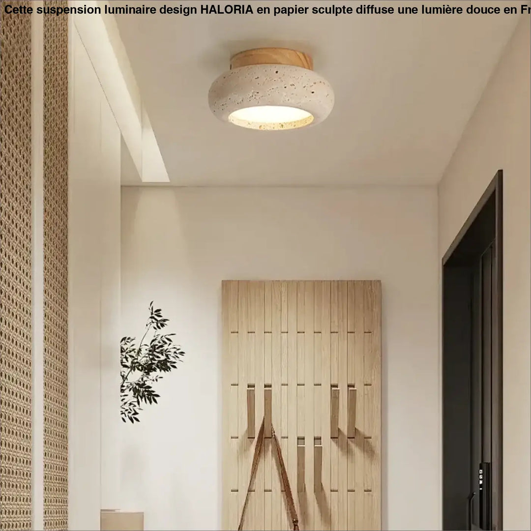 Modern suspension luminaire design with a speckled concrete shade and wooden base emitting warm light by haloria