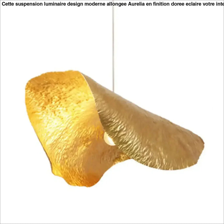 Suspension luminaire en bronze avec bords repliés raffiné