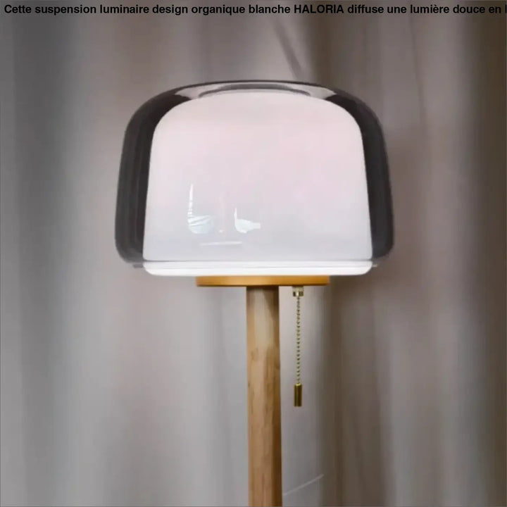 Lampadaire en verre transparent avec tige en bois naturel