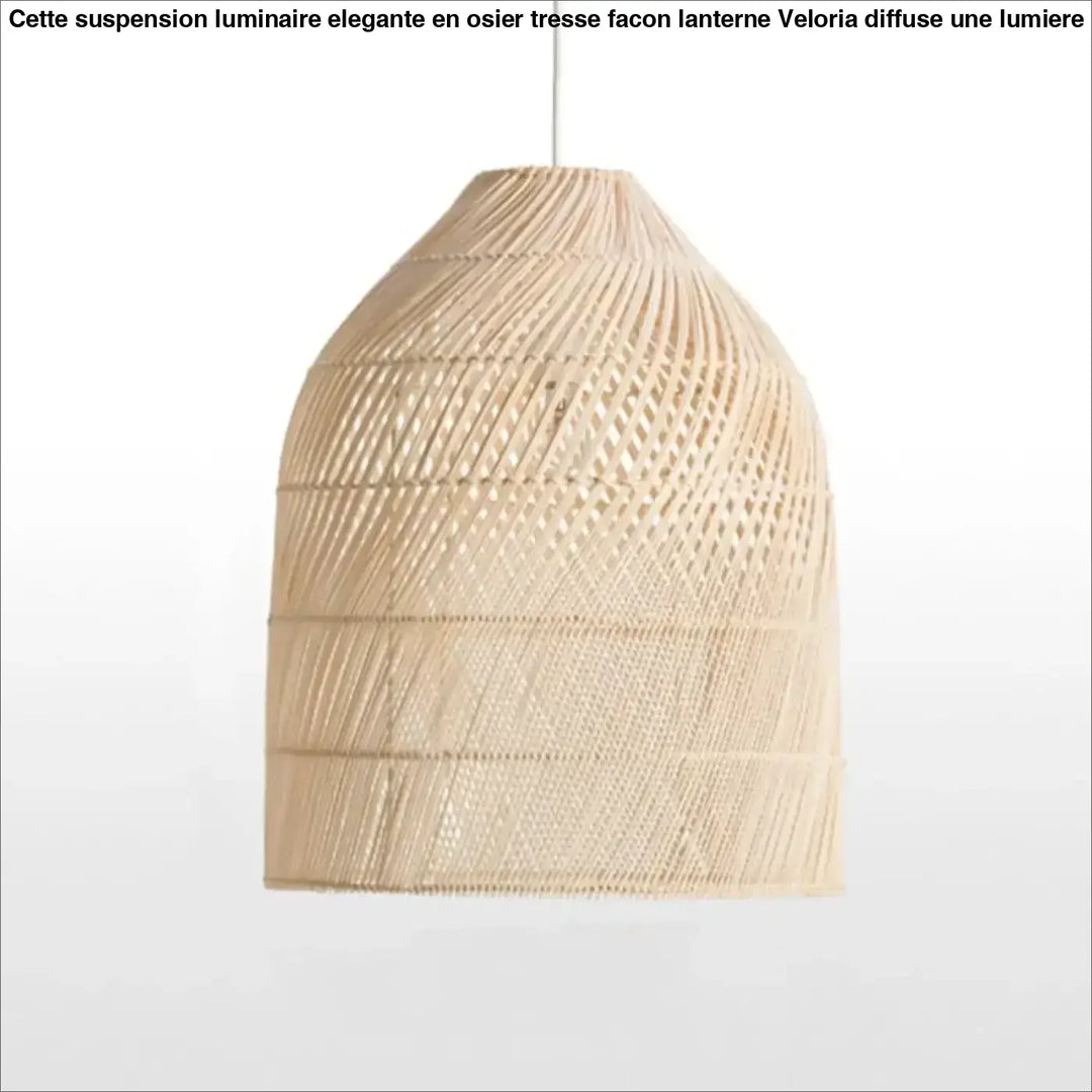Suspension luminaire élégante en osier tressé façon lanterne

