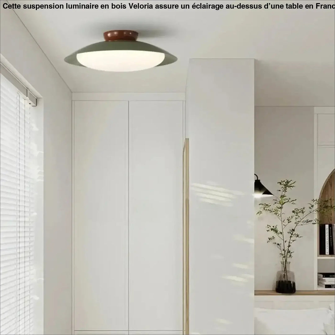 Suspension luminaire moderne design épuré en métal chic