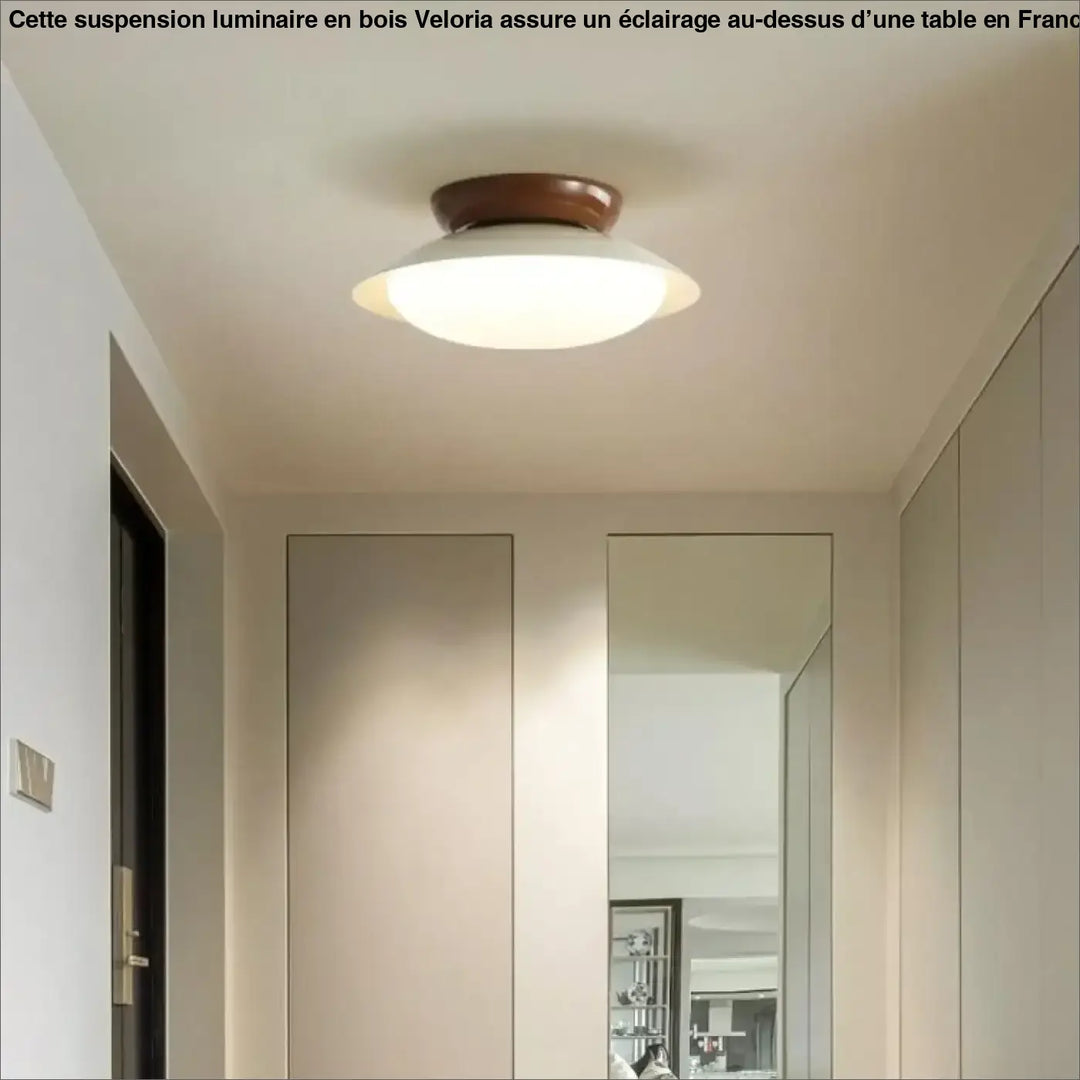 Suspension luminaire moderne design épuré en métal chic