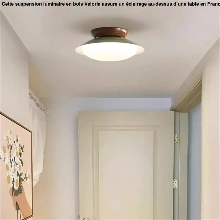 Suspension luminaire moderne design épuré en métal chic