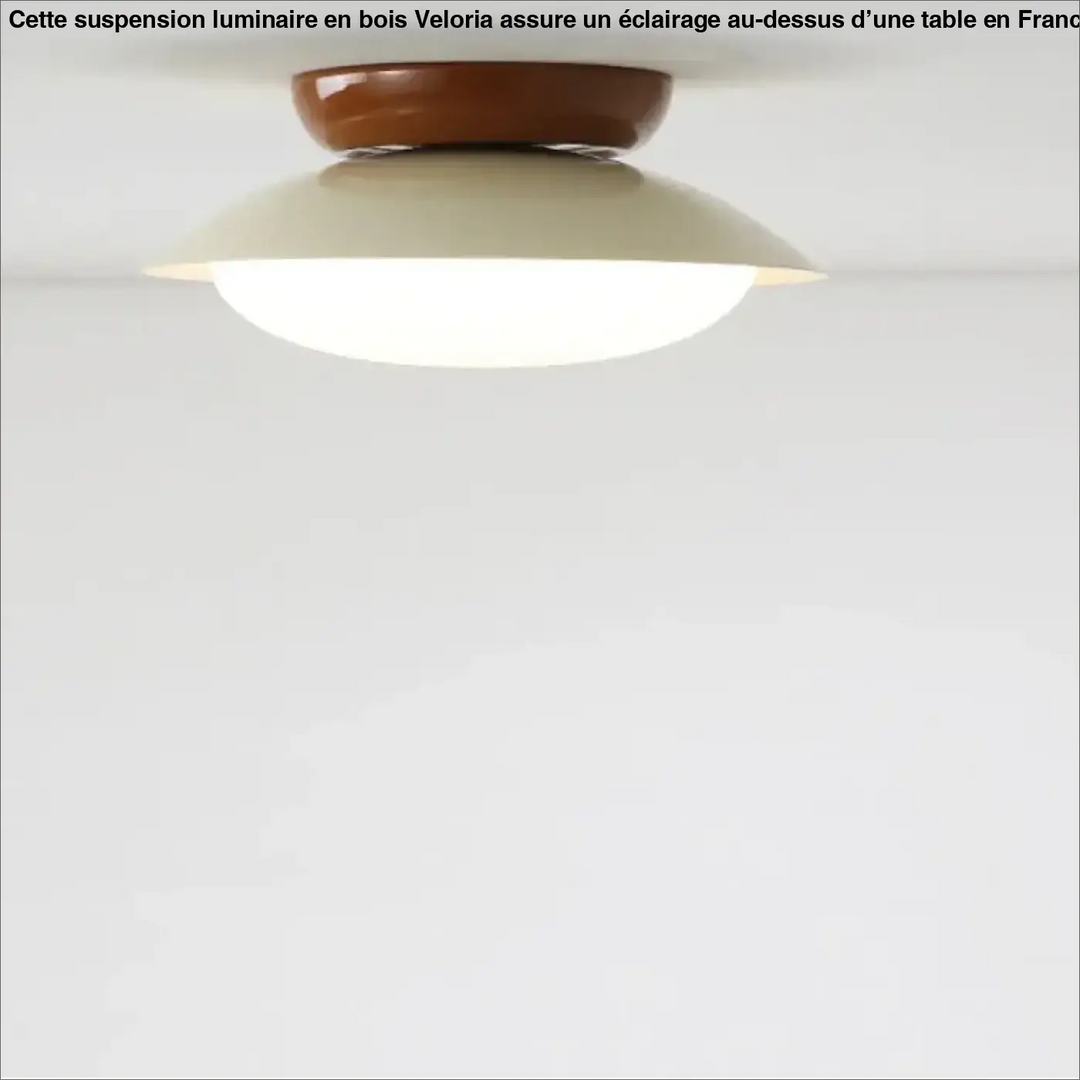 Suspension luminaire moderne design épuré en métal chic