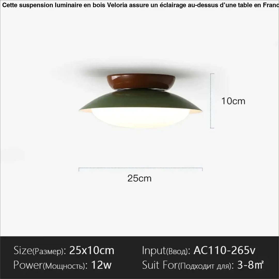 Suspension luminaire moderne design épuré en métal chic