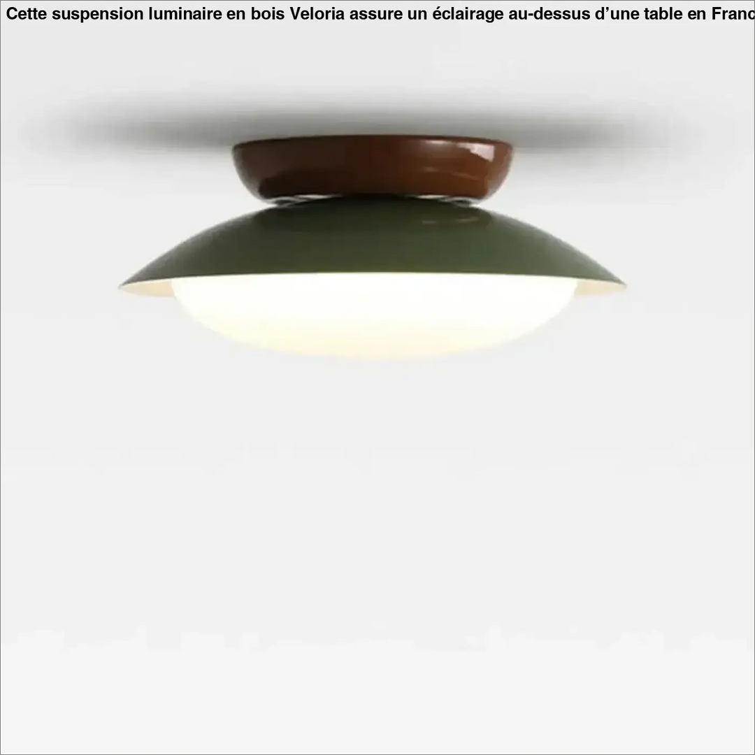 Suspension luminaire moderne design épuré en métal chic