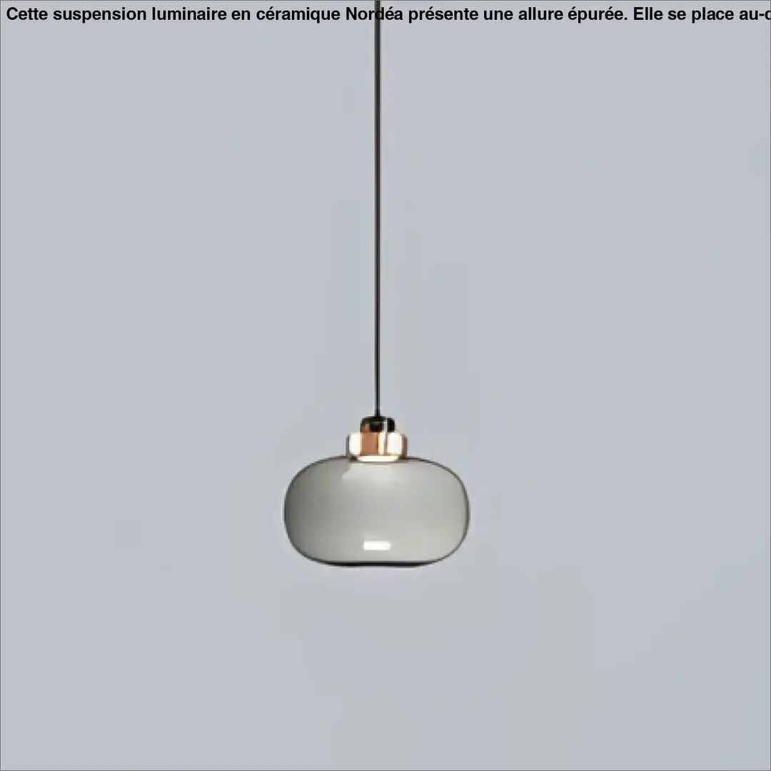 Suspension luminaire mistral avec globe en verre gris fumé et structure métallique cuivrée minimaliste