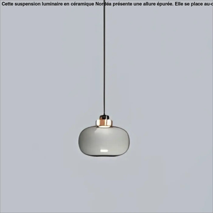 Suspension luminaire mistral avec globe en verre gris fumé et structure métallique cuivrée minimaliste