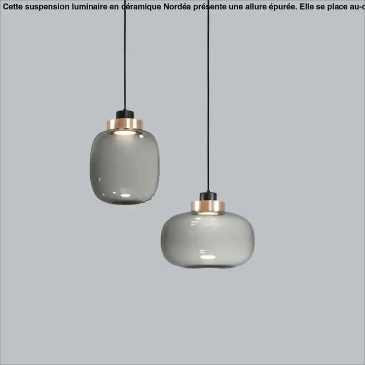Suspension luminaire mistral avec deux abat-jours en verre gris fumé et accents en rose gold modernes
