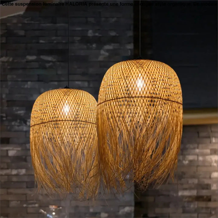 Suspension luminaire en forme allongée style organique et aérien

