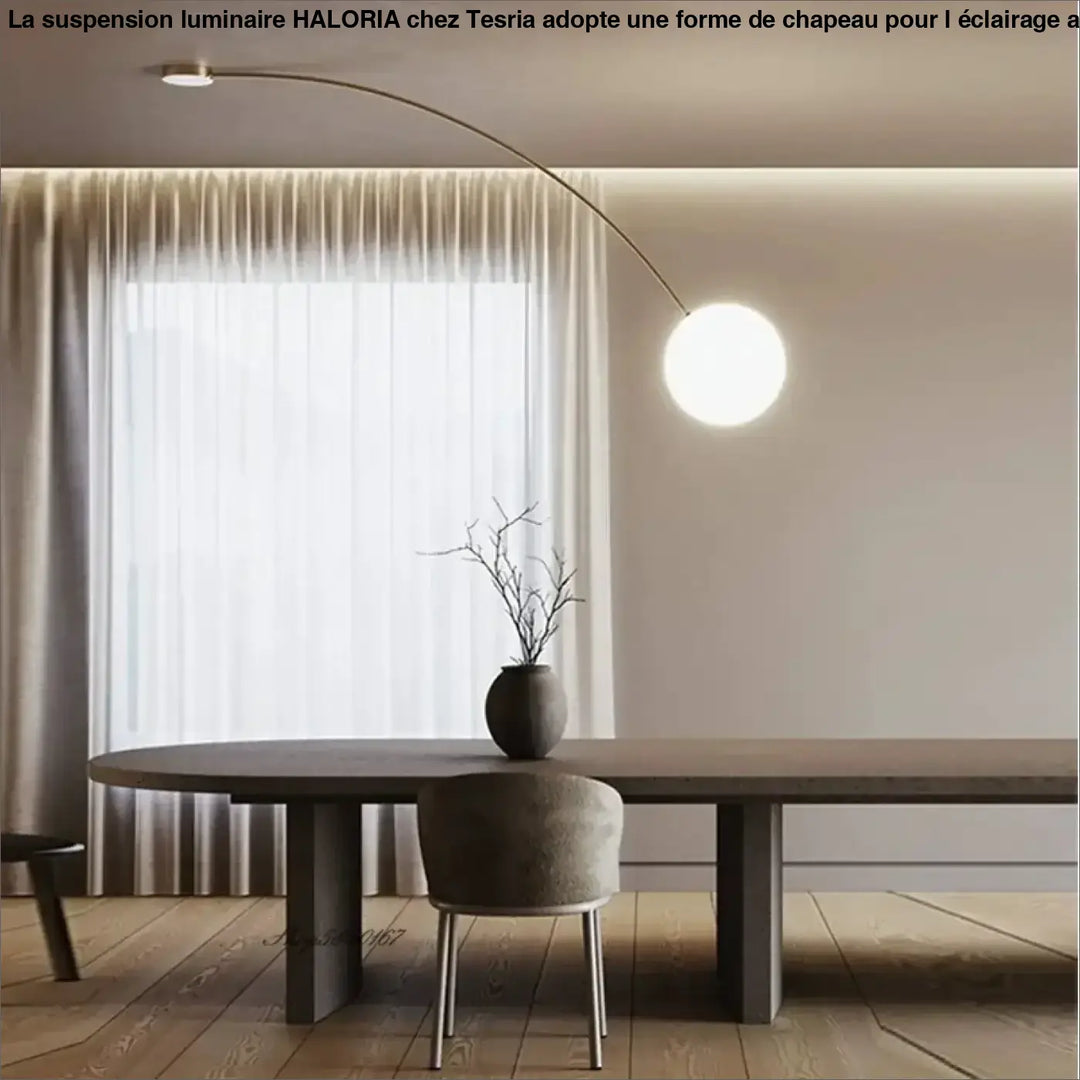 Vase en céramique mate gris foncé au design minimaliste tenant des branches nues, idéal au-dessus d’une table ou d’un coin salon suspension luminaire haloria