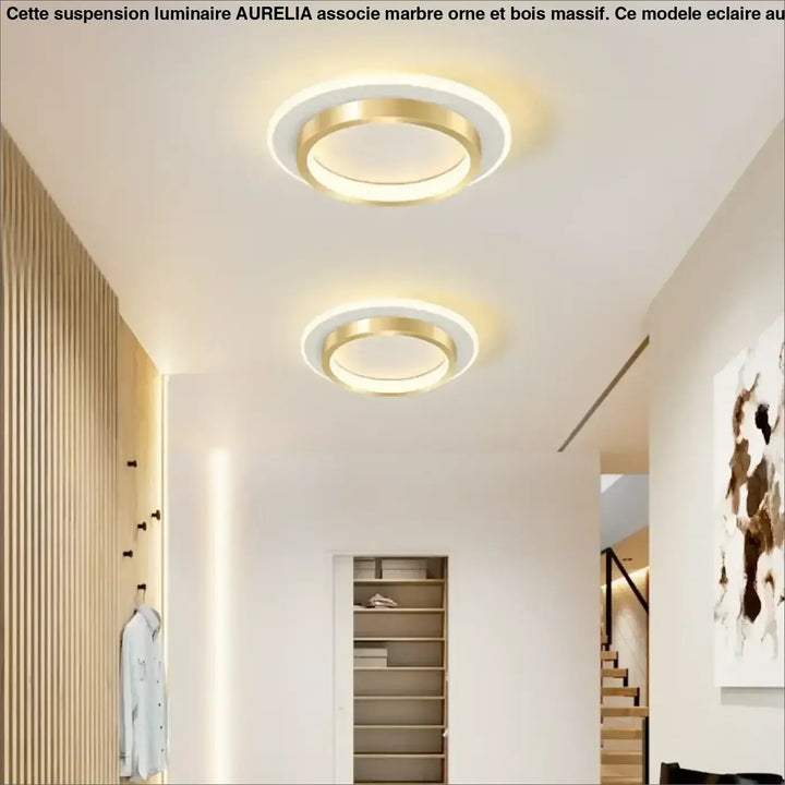 Plafonnier led rond design moderne élégant noir ou doré