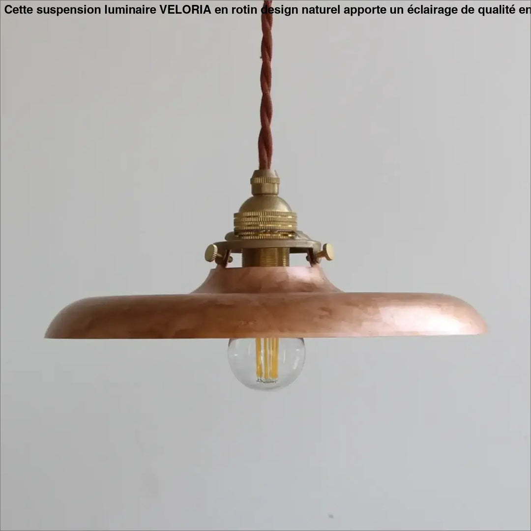 Suspension luminaire vintage en métal avec câble tressé chic