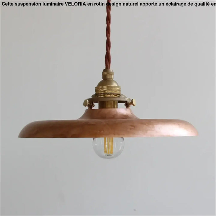Suspension luminaire vintage en métal avec câble tressé chic