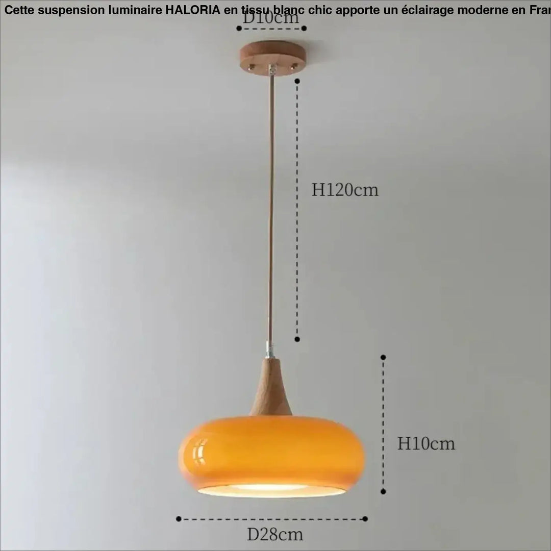 Suspension luminaire moderne minimaliste en verre elégant