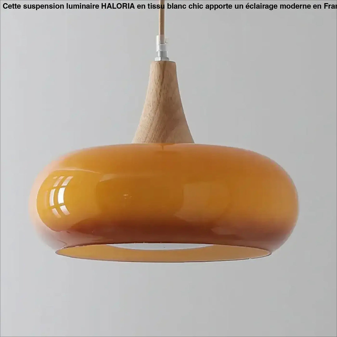 Suspension luminaire moderne minimaliste en verre elégant
