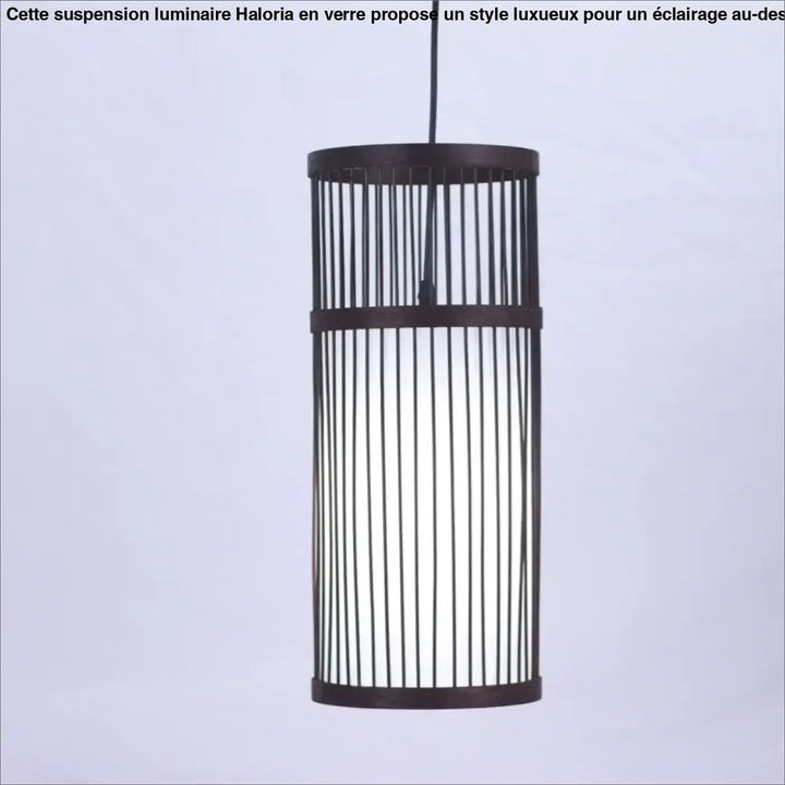 Suspension luminaire nara cylindrique brun foncé avec lames verticales et panneau central translucide luminaire lanterne