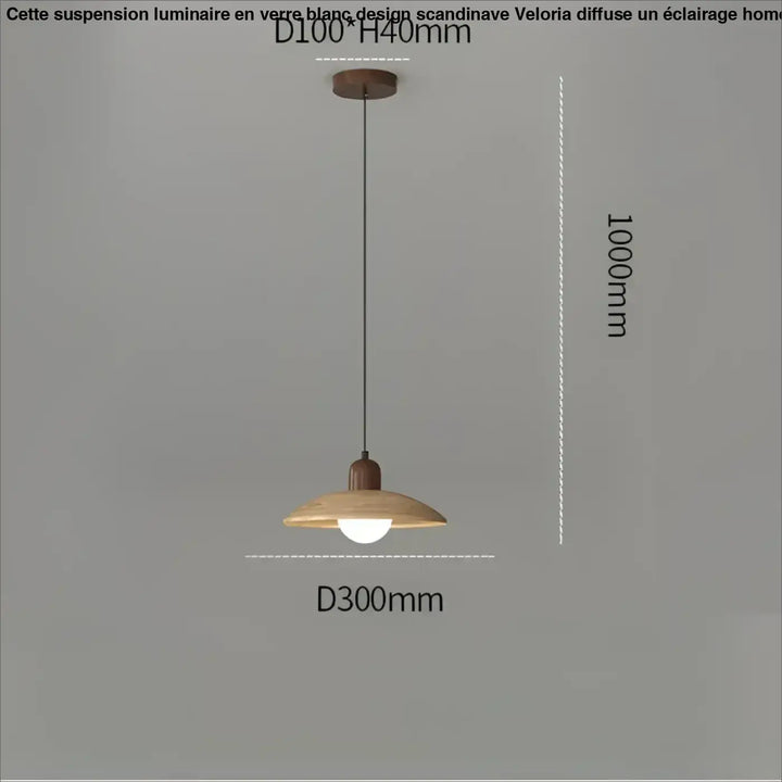 Suspension luminaire contemporain en verre et métal design