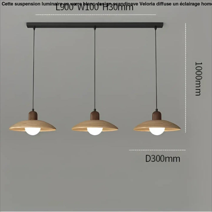 Suspension luminaire contemporain en verre et métal design