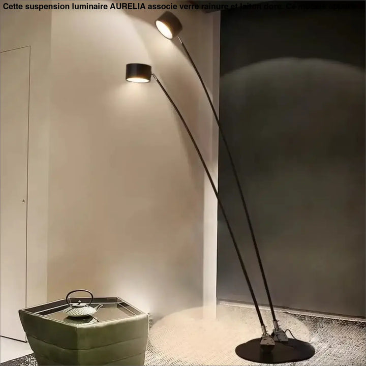 Lampadaire design moderne en fer type noir avec deux bras réglables et têtes de lumière circulaires nyiris
