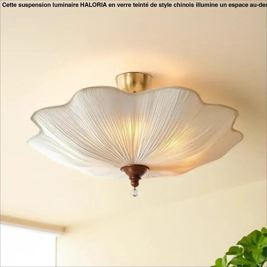 Luminaire plafonnier lotus en verre translucide blanc délicat avec motifs en pétales et accents en laiton pour lumière devient élégante