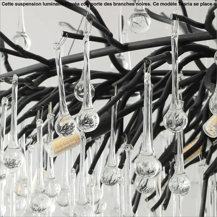 Suspension luminaire haut de gamme avec des branches noires

