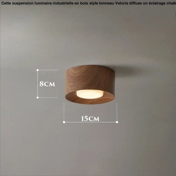 Plafonnier minimaliste avec éclairage led marron chic