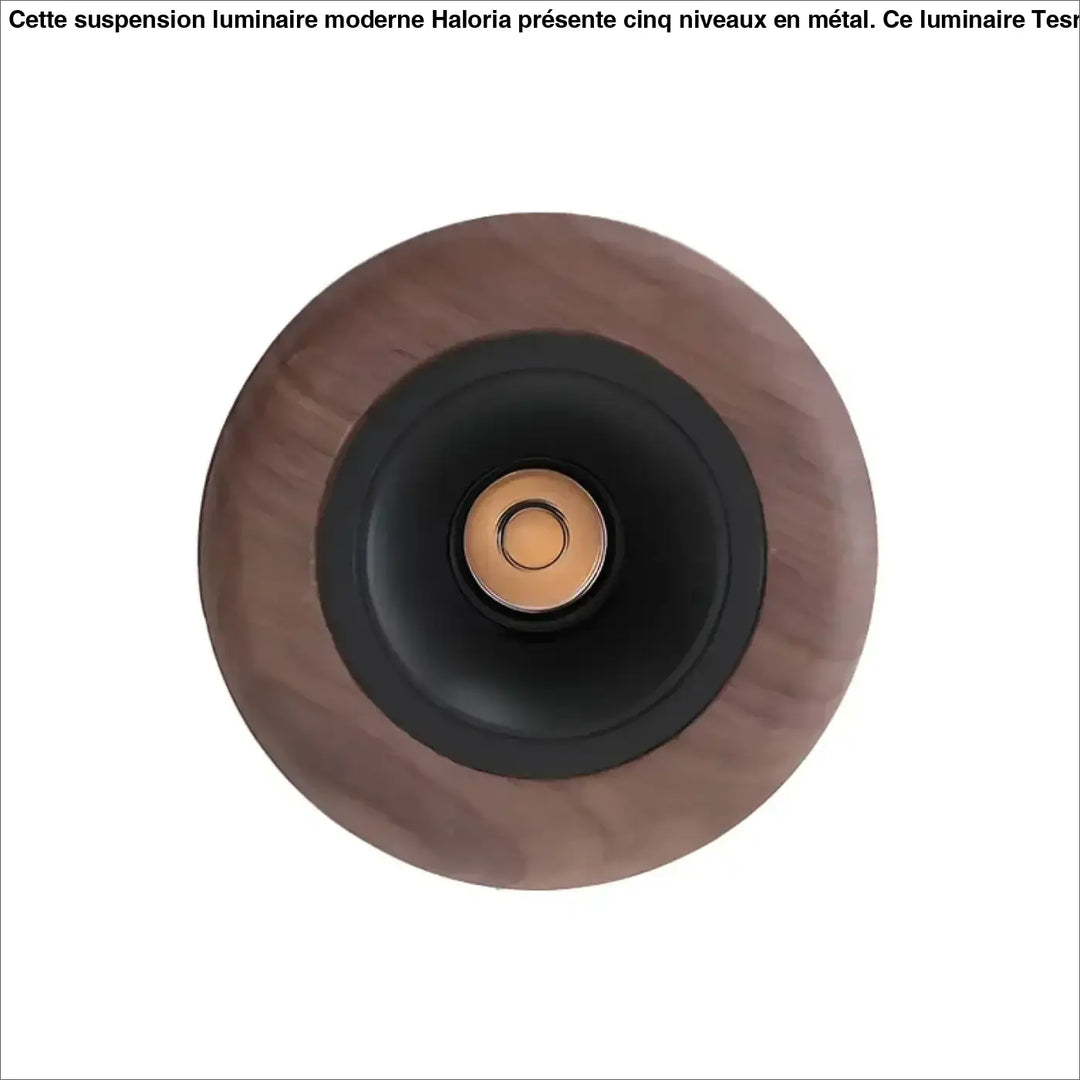 Plafonnier bois design moderne et élégant style minimaliste