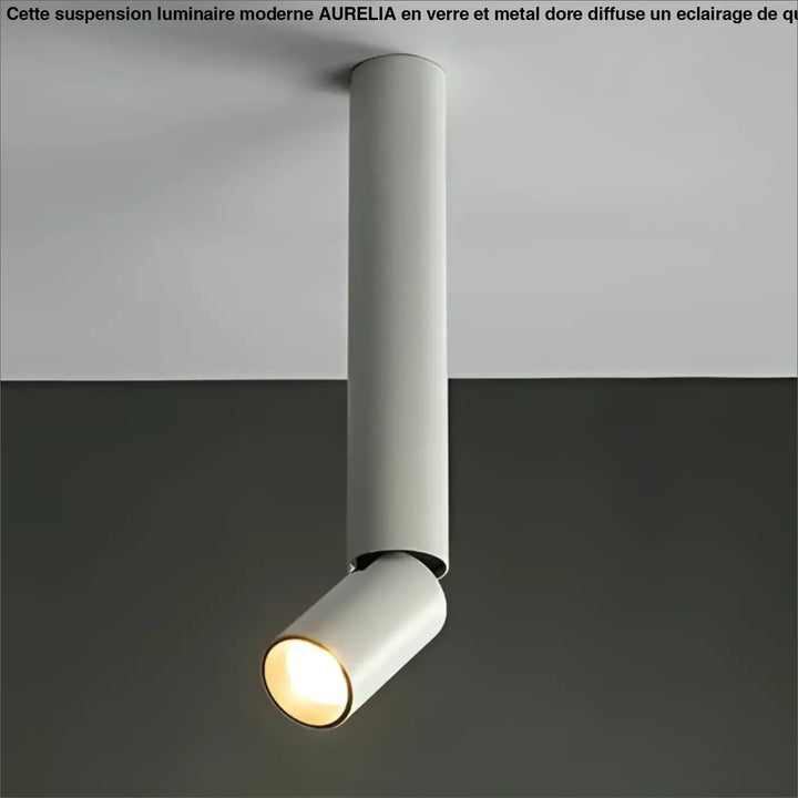 Luminaire plafonnier spot led moderne design minimaliste