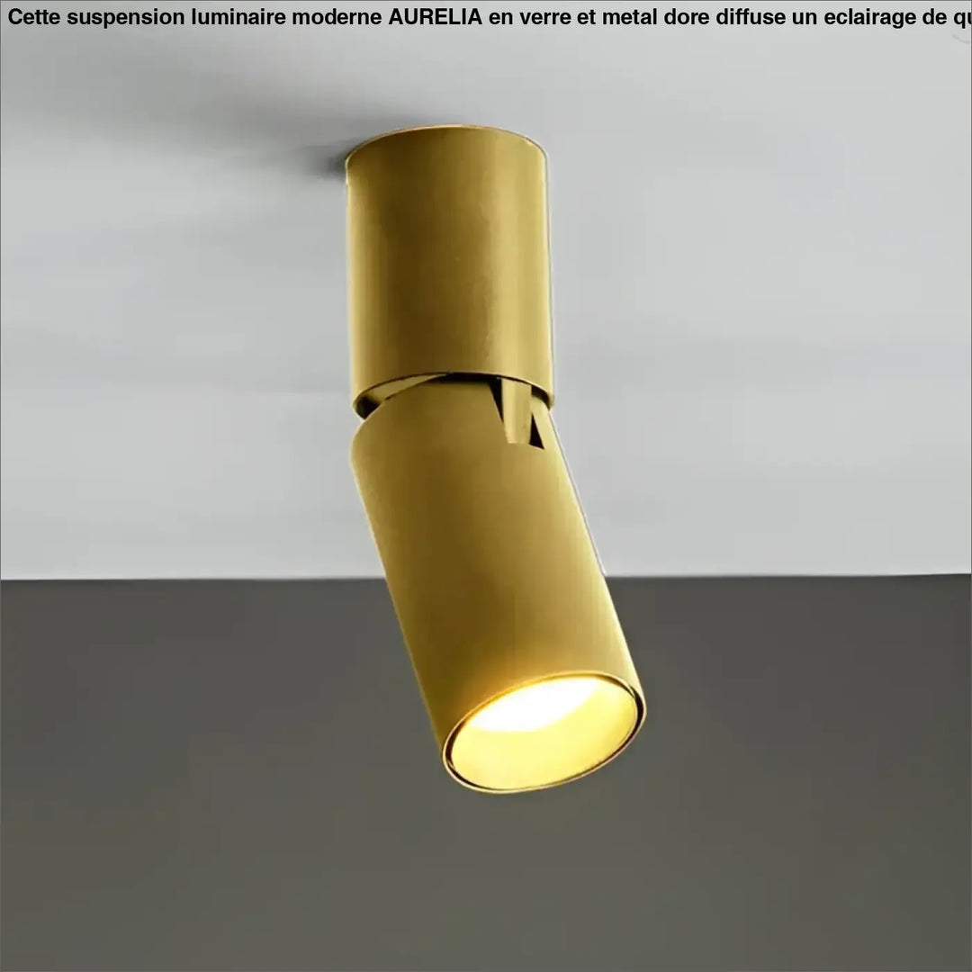 Luminaire plafonnier spot led moderne design minimaliste