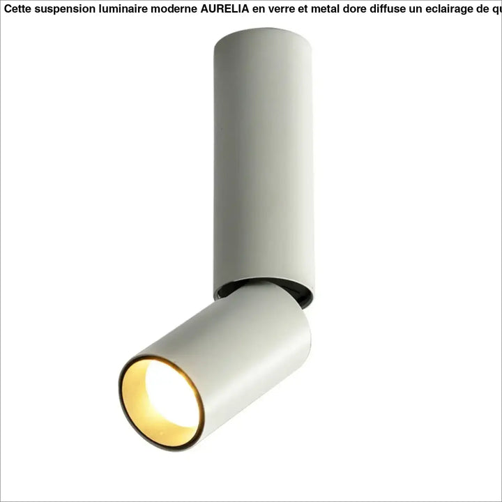 Luminaire plafonnier spot led moderne design minimaliste
