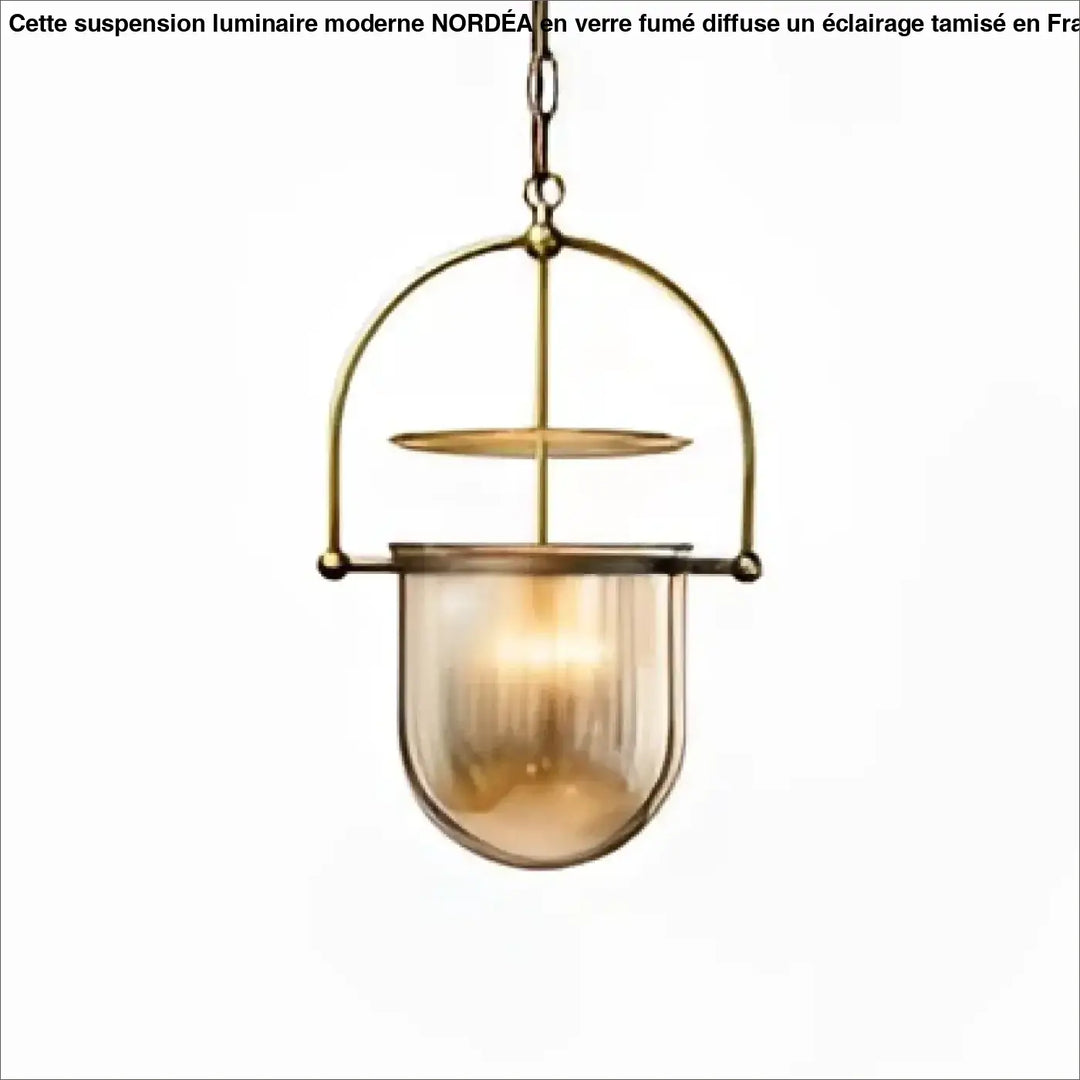 Lampe suspendue cuivre poli with a warm amber glass shade and minimalist arched metal frame suspension luminaire elysia