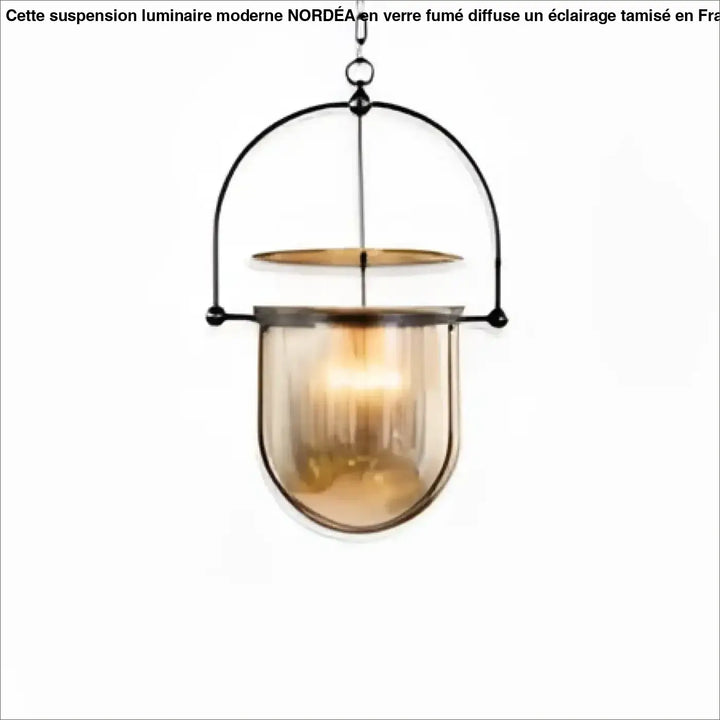 Lampe suspendue suspension luminaire elysia avec cadre métal noir et abat-jour verre ambre pour ampoules led
